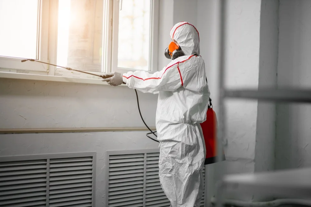Professional mold remediation services in Balm, FL